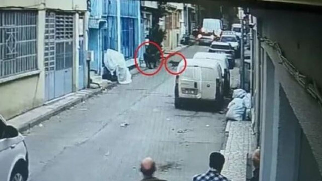 BURSA'DA PİTBULL DEHŞETİNDE İLK DURUŞMA YAPILDI