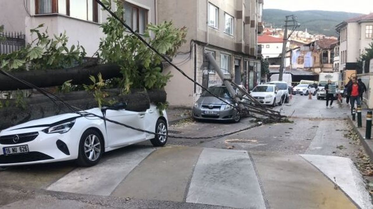 BURSA'DA LODOS BÜYÜK ZARARA UĞRATTI