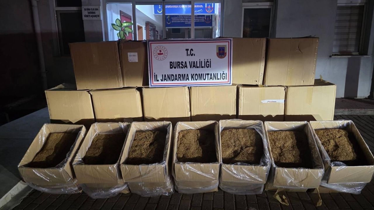 Bursa’da 750 kilogram kaçak tütün ele geçirildi