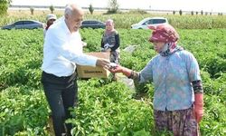 1 MİLYARLIK YATIRIM 300 KİŞİYE DİREK İŞ İMKANI SUNACAK