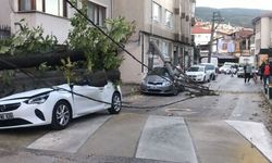 BURSA'DA LODOS BÜYÜK ZARARA UĞRATTI