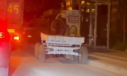 BAŞIBOŞ AT ARABASI ŞEHİR TURU ATTI, GÖRENLER ŞAŞTI KALDI