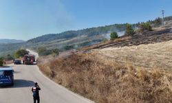 BURSA'DA ORMANLIK ALANDA YANGIN