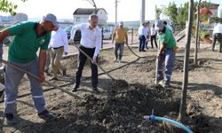 İnegöl'ün yeşil alanı Türkiye ortalamasının üzerinde