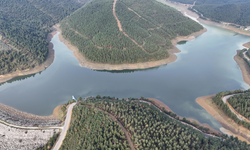 Bursa'da yağmur ve kar en çok barajlara yaradı