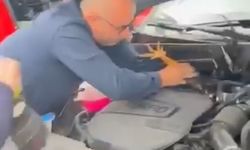 Araç motoruna bu kez kedi değil, bakın ne girdi!