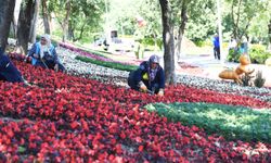 Osmangazi’nin her yeri çiçek kokuyor