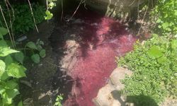 Bursa'da bu dereye çiftçile tepkili