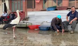 Yaren'in rakibi Bilal Leylek baba oldu