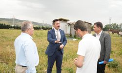 Yenişehir'de Roman Toki'ye güvenlik önemli