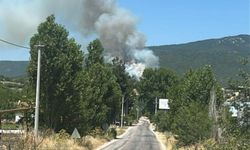 Bursa'da orman yangını: Ekipler müdahale ediyor