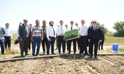 Yenişehir'in tarım ürünleri Libya'ya ihracat edilecek
