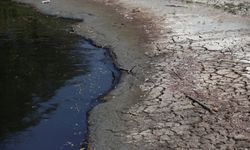 Nilüfer Çayı'nda temiz gelecek için kararlı adım