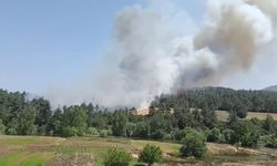Kayapa'da taş ocaklar mevkiinde yangın çıktı
