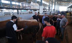 İnegöl Modern Hayvan Pazarı Beşinci Kez Bayram Sevinci Yaşattı