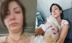 Bursa'da 2 köpek dehşet saçtı