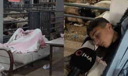 Kurbanlık nöbetinde koyun koyuna uyuyorlar