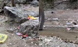 Bursa'nın sevilen deresi çöplüğe döndü