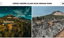 Bursa'da acı tablo!