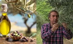 Zeytinde büyük kayıp olacak: "Bu fiyatları kaçırmayın"