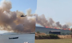 Bursa'da orman yangınlarına helikopterler müdahale ediyor