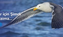 Çeviri Bürosu ve Fransızca Çeviri - Okeanostercume.com.tr
