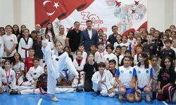 Minikler taekwondo şampiyonası Yenişehir’de yapıldı