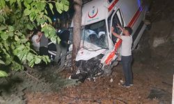 Ambulans bahçeye uçtu