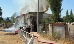 Bursa'da hayvan damında yangın