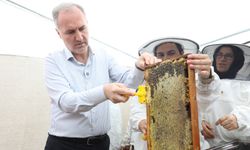 İnegöl bal üretiminde kalitesiyle dikkat çekti