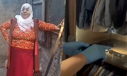 Ormanda vahşi cinayet! Kadın korkunç şekilde bulundu