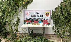 Evin bahçesi uyuşturucu yuvası çıktı