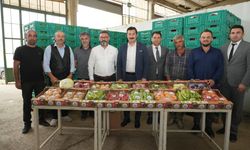 Yenişehir'in tarım ürünleri Libya yolunda