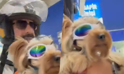 Köpeği ile markete alınmayan vatandaş isyan etti