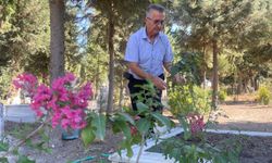 Oğlunu kaybettikten sonra ömrünü adadığı mezarlığı adeta parka dönüştürdü