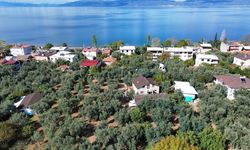 Papanın geleceği ve deprem hareketliliği, İznik'e olan ilgiyi artırdı