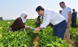 Dünya gıda pazarında Türkiye’nin ürünleri yer alacak