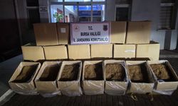 Bursa’da 750 kilogram kaçak tütün ele geçirildi
