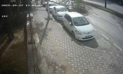 Bursa'da fırtına ağacı böyle devirdi
