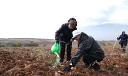 İnegöl’de Yeşil Vatan Seferberliği