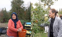 Topuklu iş kadınları ile şalvarlı köylü kadınları aynı tarlada