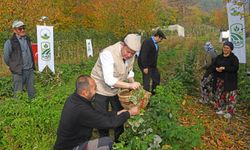 Osmangazi’de Üzümsü Meyvelerde Organik Tarım Seferberliği