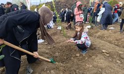 Bursa’da yanan ormanlar Milli Ağaçlandırma Günü’nde yeniden yeşeriyor