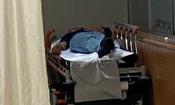 Ormandaki mantarları yiyen 7 kişi hastanelik oldu