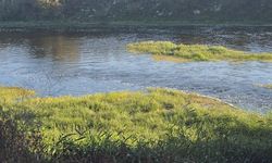 Bursa'da 10 yaşındaki cocuğun acı sonu