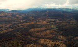 Bursa'yı yeniden yeşertecek 300 bin fidan için ilk adım atıldı