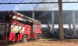 Bursa’da palet fabrikası alevlere teslim oldu