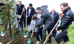 Kestel’de yeşil umutlar filizlendi