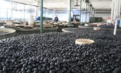 Marmarabirlik ürün alım fiyatlarını açıkladı