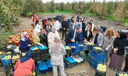 Topuklu İş Kadınları ile Şalvarlı Köylü Kadınları Aynı Tarlada Buluştu